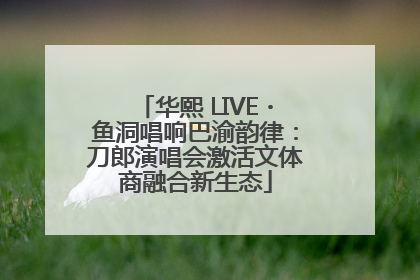 华熙 LIVE・鱼洞唱响巴渝韵律：刀郎演唱会激活文体商融合新生态